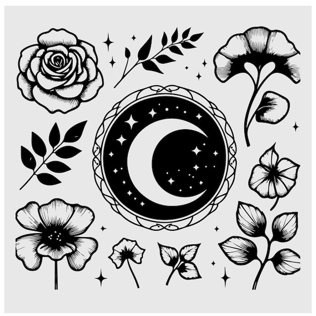 Elementos para el diseño del logotipo rosa Ginkgo Biloba hoja estrellas luna marco ilustración vectorial