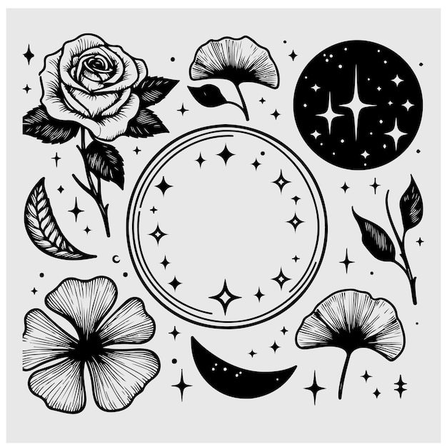 Elementos para el diseño del logotipo rosa Ginkgo Biloba hoja estrellas luna marco ilustración vectorial