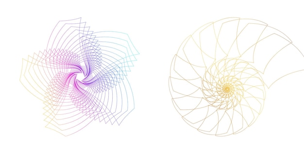 Elementos de diseño Ondas de muchas líneas púrpuras anillo de círculo rayas onduladas verticales abstractas en fondo blanco aisladas Ilustración vectorial EPS 10 Ondas coloridas con líneas creadas usando la herramienta de mezcla