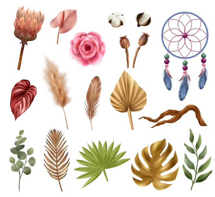 Vector elementos florales boho y cazador de sueños para el diseño