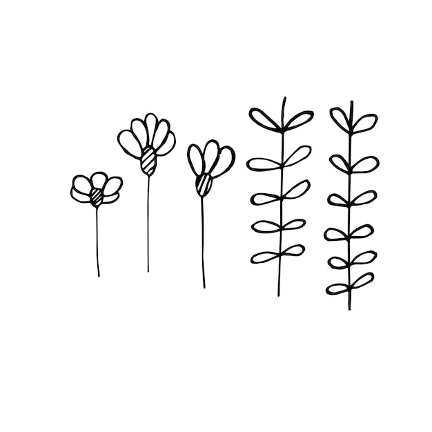 Elementos florales dibujados a mano ilustración vectorial imágenes prediseñadas rústicas