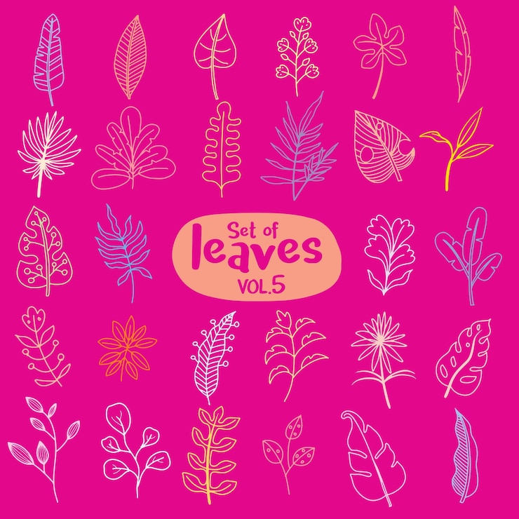 Vector elementos florales dibujados a mano ilustraciones botánicas vintage