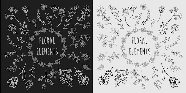 Elementos florales dibujados a mano