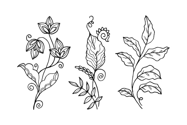 Vector elementos florales de diseño vectorial dibujado a mano ilustración vectorial