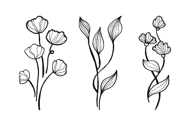 Elementos florales de diseño vectorial dibujado a mano ilustración vectorial