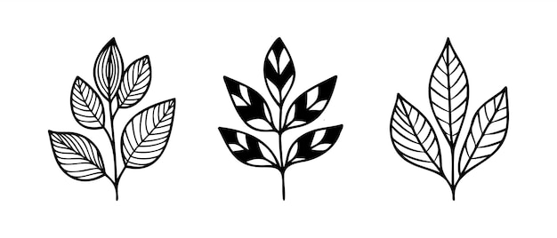 Elementos florales de diseño vectorial dibujado a mano