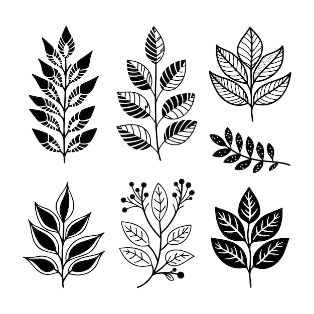 Elementos florales de diseño vectorial dibujado a mano