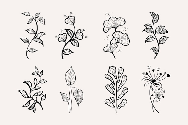 Elementos florales de diseño vectorial dibujado a mano