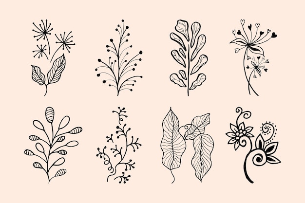 Elementos florales de diseño vectorial dibujado a mano