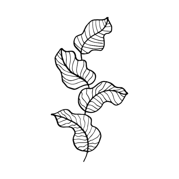 Elementos florales de diseño vectorial dibujado a mano