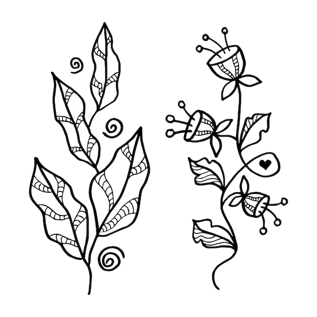 Elementos florales de diseño vectorial dibujado a mano