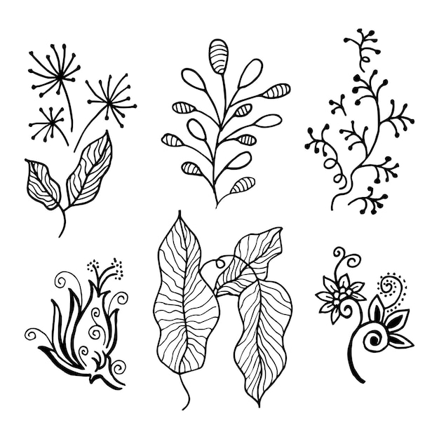 Elementos florales de diseño vectorial dibujados a mano