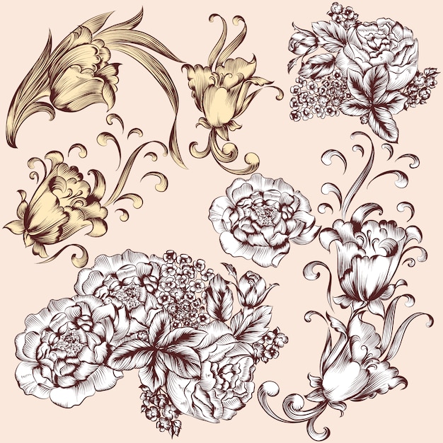 Vector elementos florales ornamentales vintage