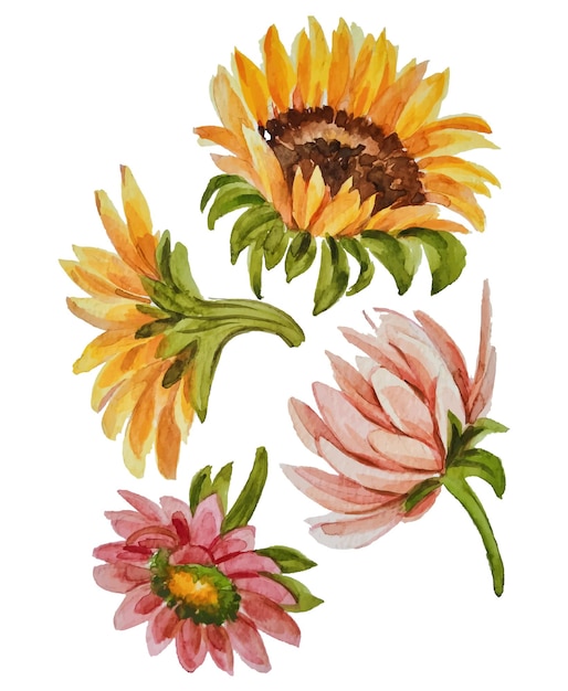 elementos de flores de acuarela