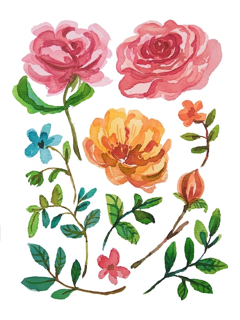 elementos de flores de acuarela