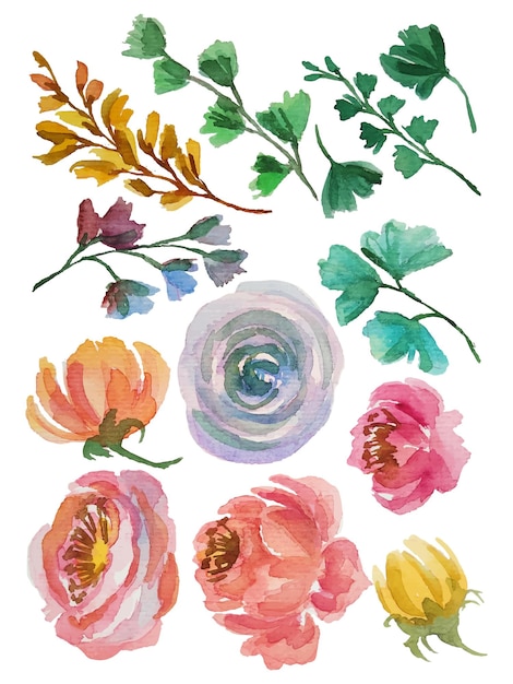 elementos de flores de acuarela