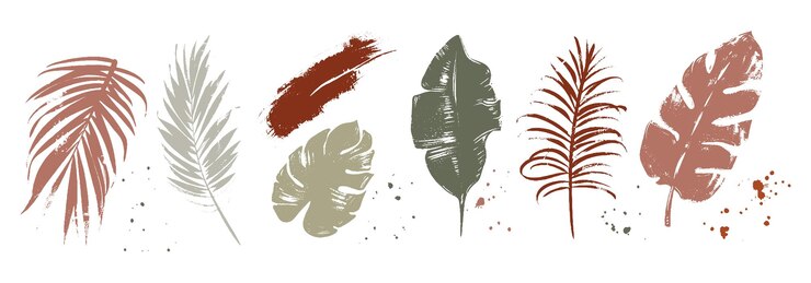 Elementos de follaje abstractos aislados en un fondo blanco Set de hojas tropicales Colección de siluetas gráficas de colores apagados Dibujado a mano de vectores botánicos para decoración sitio web gráfico decorativo