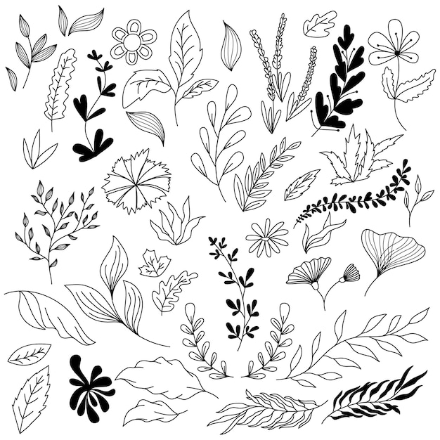 Vector elementos gráficos florales conjunto vectorial grande flores y plantas ilustraciones dibujadas a mano