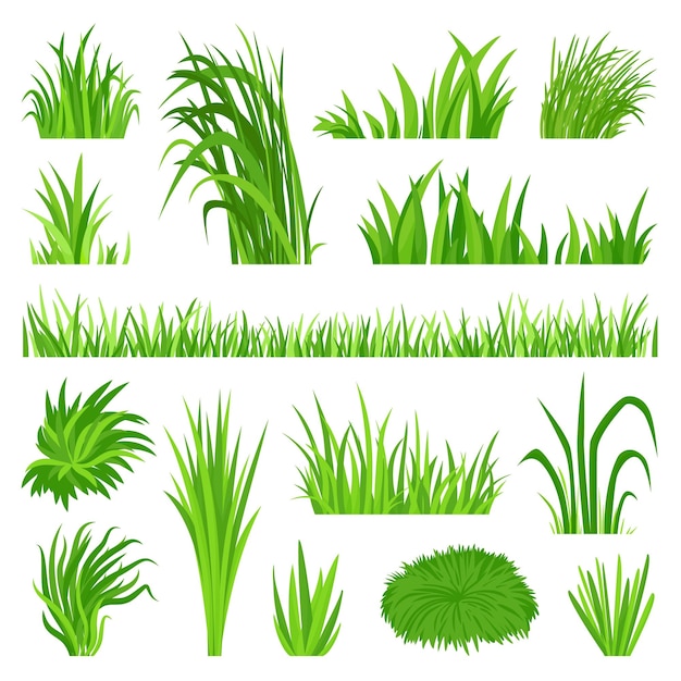 Vector elementos de hierba de pradera campo de patio trasero césped verde orgánico vegetación de malezas objetos de plantación aislados decorativos conjunto de vectores neotéricos de flora natural de arbustos