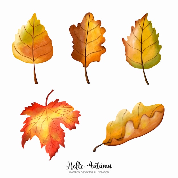 Elementos de hojas de otoño de acuarela Otoño o ilustración de vector de acuarela completa