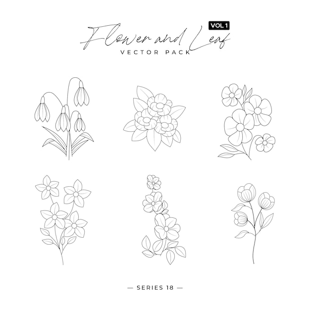 Elementos de moda de plantas silvestres y de jardín ramas hojas flores hierbas elementos de dibujos