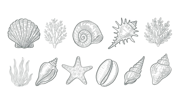 Elementos oceánicos de línea monocromática para el diseño de verano