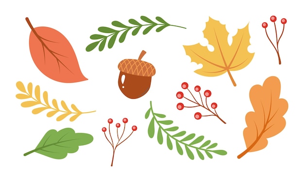Elementos de otoño coloridos incluyendo hojas bayas y una bellota perfecto para tarjetas de felicitación de temporada