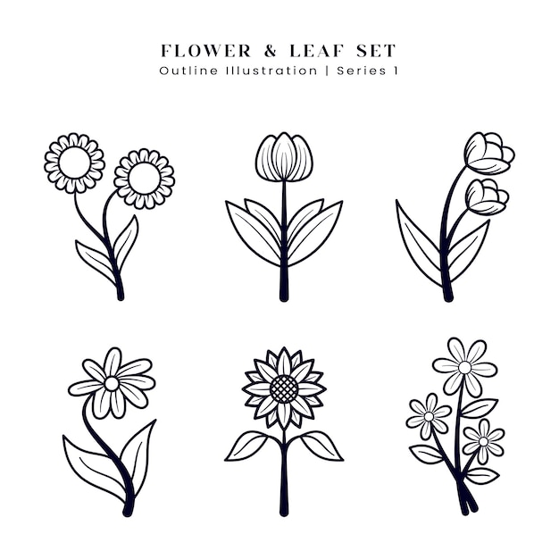Elementos de plantas y flores dibujados a mano e ilustración de contornos EPS Vector para logotipo y coloreo