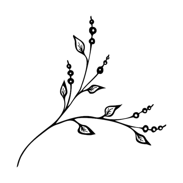 Elementos de plantas de ramas de garabatos dibujados a mano para el diseño