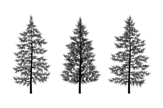 Elementos de vector de colección de silueta de árboles de pino
