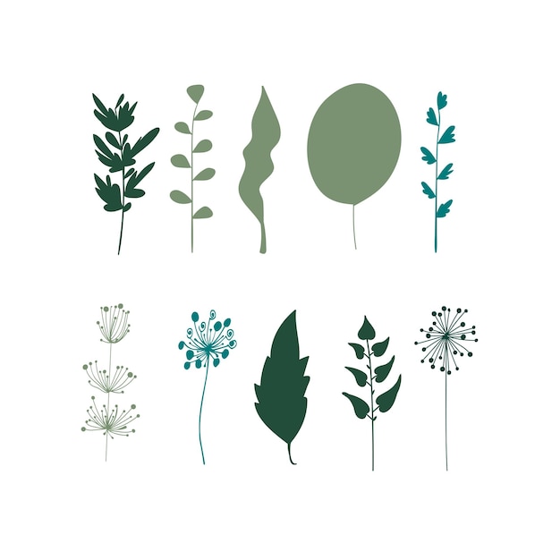 Elementos del vector Conjunto de hojas de plantas verdes