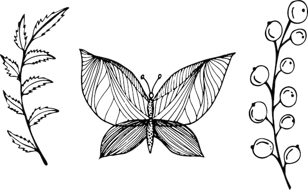 Elementos vectoriales aislados mariposa y rama con bayas en elementos de estilo boceto para el diseño de logotipos