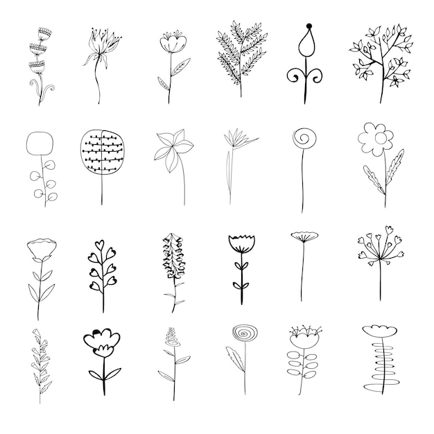 Elementos vectoriales. Conjunto de flores y plantas. Esquema de estilo esbozado. Diseño botánico para composiciones florales