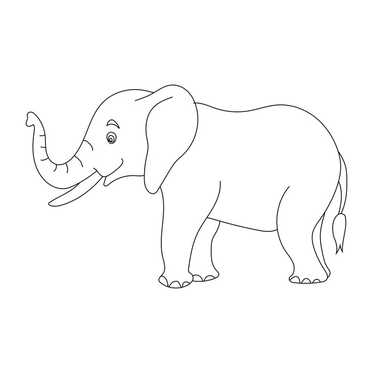 Elephant Clipart Cartoon Animales salvajes Conjunto de clipart para los amantes de la vida silvestre