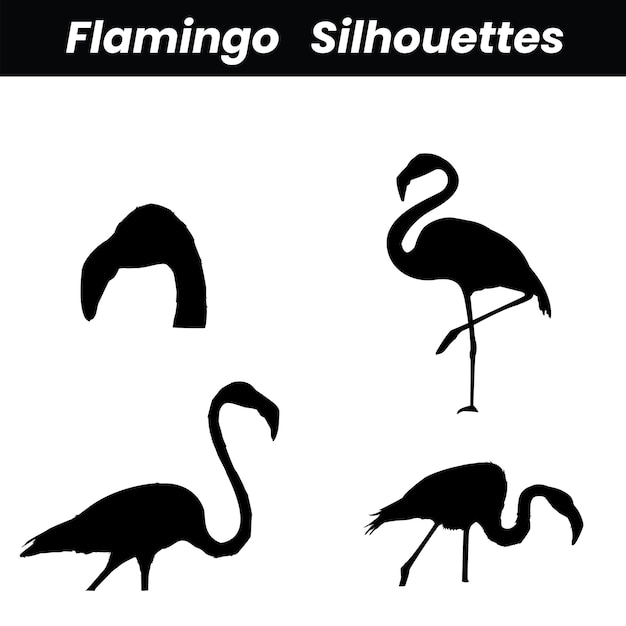 Vector eleva tus diseños con las cautivadoras siluetas vectoriales de flamingo