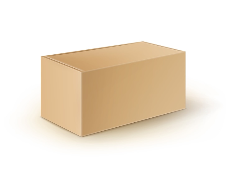 Vector embalaje de caja de cartón en blanco marrón