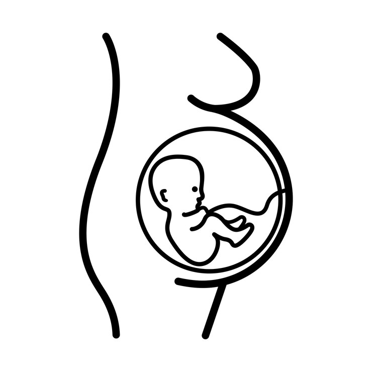 Vector embarazo, maternidad y desarrollo prenatal