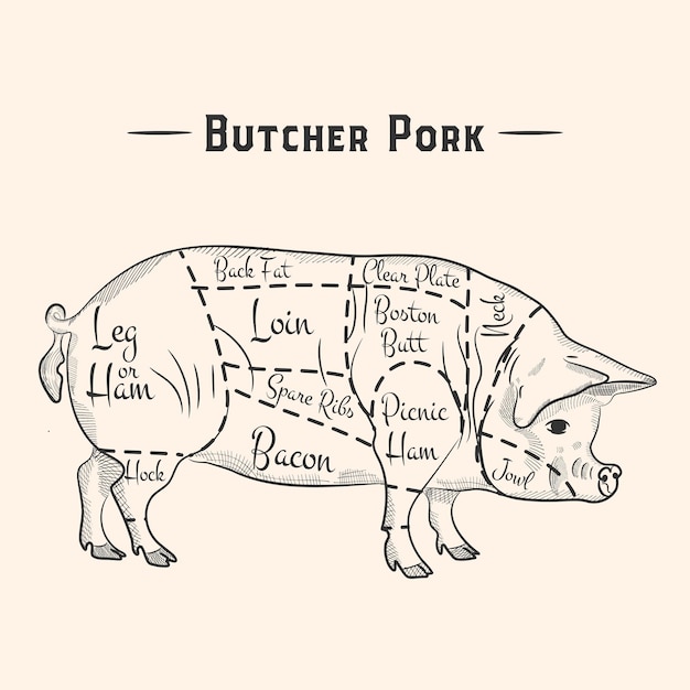 Emblema de la carnicería de carne con texto de silueta de cerdo la plantilla del logotipo de la carnicería de carne fresca para la carne.