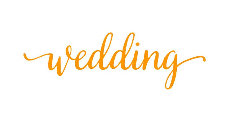 Vector emblema de letras de boda caligrafía moderna elementos de diseño hechos a mano para la boda