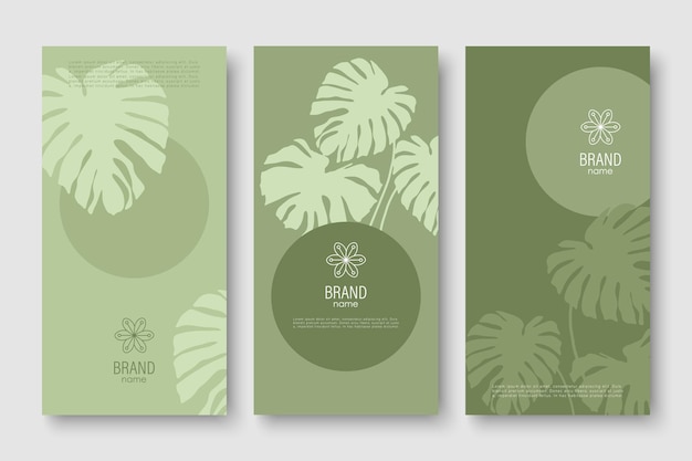 Empaque de marca hoja de fondo de la naturaleza cupón logotipo pancarta primavera verano verde ilustración vectorial con hojas de ginkgo biloba