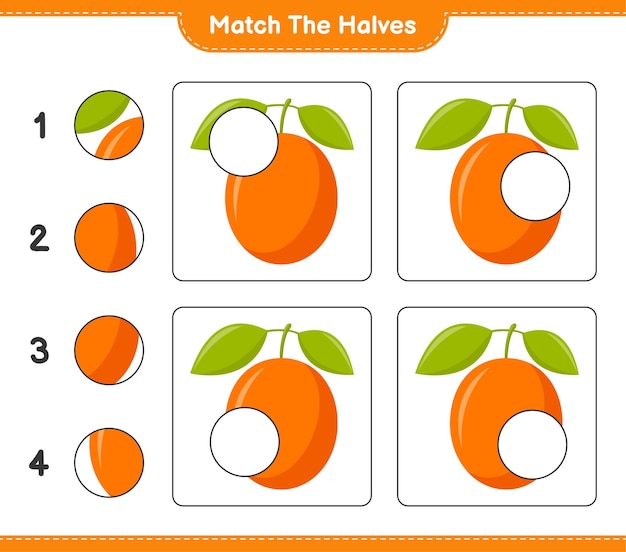 Empareja las mitades. Coincidir con las mitades de Ximenia. Juego educativo para niños, hoja de trabajo imprimible