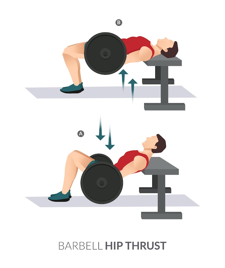 Vector empuje de cadera barbell, fitness de entrenamiento de hombres y mujeres, aeróbicos y ejercicios.
