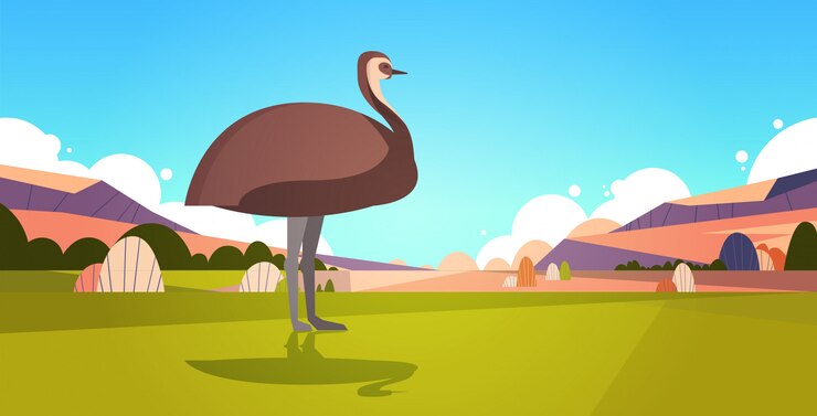 Vector emu caminando sobre la hierba en el desierto de australia, la fauna silvestre australiana fauna concepto paisaje horizontal