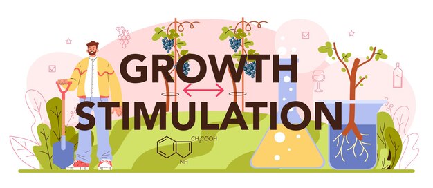 Encabezado tipográfico de estimulación del crecimiento. Producción de vino. Selección de uva