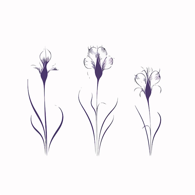 Encantadora ilustración vectorial de una flor de iris