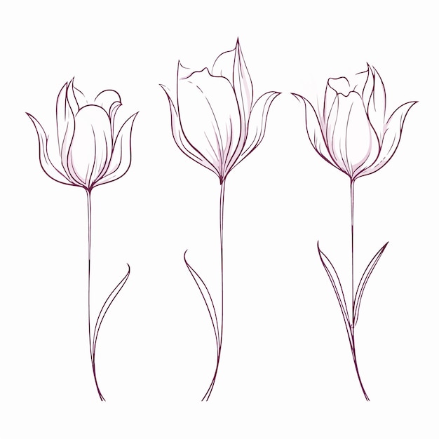 Una encantadora obra de arte de tulipanes con un toque caprichoso