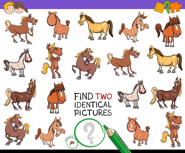 encontrar dos caballos idénticos actividad educativa
