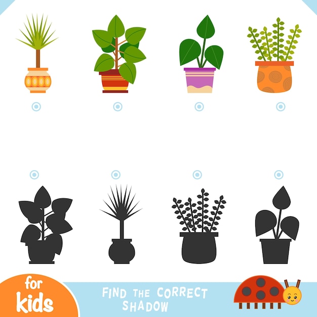 Vector encuentra el juego de educación de sombras correcto de plantas de interior