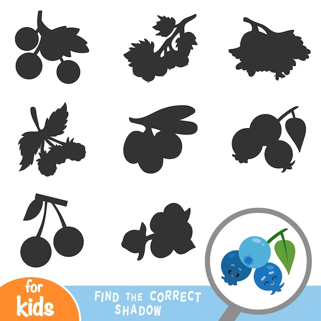 Encuentra el juego educativo de sombras correcto para niños blueberries