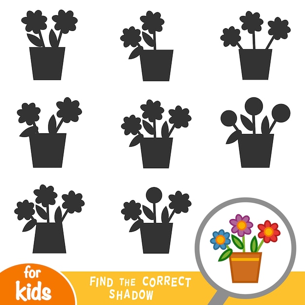 Encuentra el juego educativo de sombras correcto para niños Flores